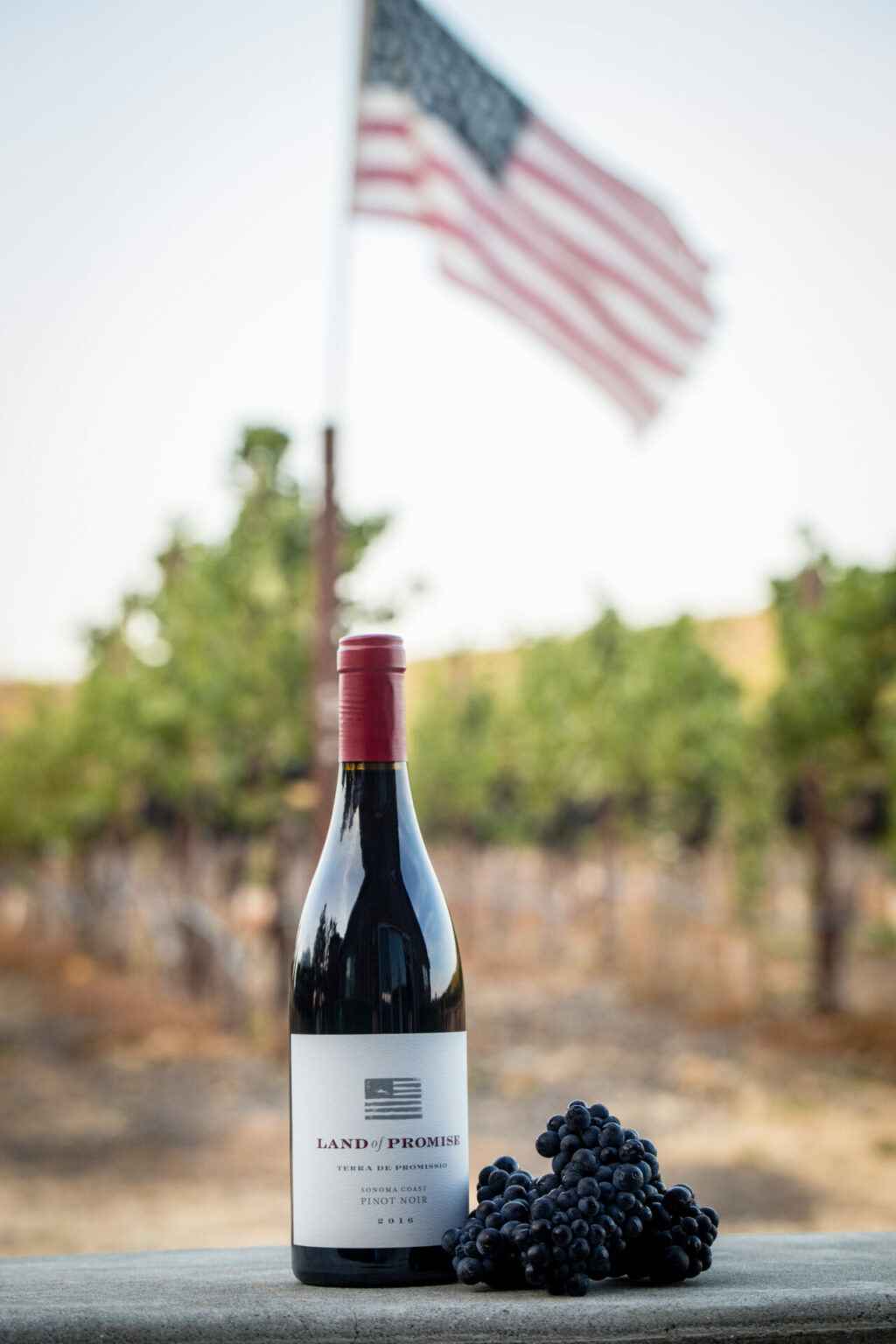 wine with flag in background